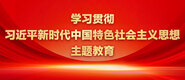 日本胖女人黄色视频学习贯彻习近平新时代中国特色社会主义思想主题教育_fororder_ad-371X160(2)